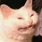 bigdumtuna's Avatar'