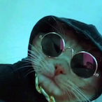 Sub_Z3ro_'s Avatar'