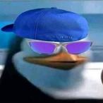 TijoloVoador.ST's Avatar'