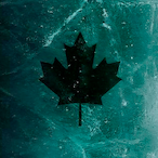 black_ice.png's Avatar'