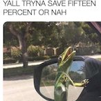 papiwappy57's Avatar'