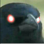 redder190's Avatar'