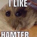 Hank_monkey's Avatar'