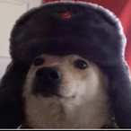 real.Chaebron's Avatar'