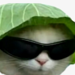 aaaaaaaa......'s Avatar'