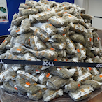 BeOver.exe's Avatar'