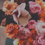 DjAlphaLion.'s Avatar'