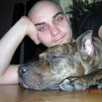 PitbullBesitzer's Avatar