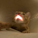 RoomyCloaca's Avatar'