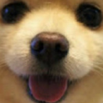 lewisololo's Avatar'