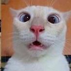 Kelefix._.'s Avatar'