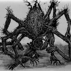 Amygdala.HC's Avatar'