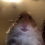 Panos-_-'s Avatar'
