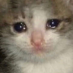 MasterHarley420's Avatar'