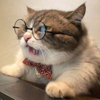 biology_cats's Avatar'