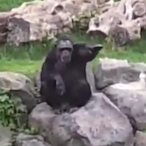 PabloEscoblob's Avatar'