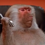 MacacoHeleno's Avatar'