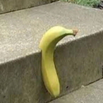 GrogMakeFire's Avatar'