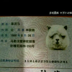kuai_Shan's Avatar'