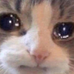 Goose Yena's Avatar'