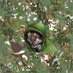 CallMeKhajiit's Avatar'