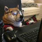 My.Dog.KiIIed.u's Avatar'