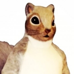 jannik240708's Avatar'