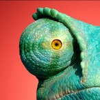 Rangolites's Avatar'