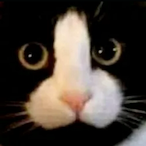 Jareth_.'s Avatar'