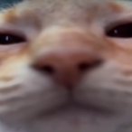 deadrat26's Avatar'