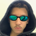 Conceptionist's Avatar'