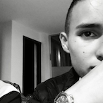 Ricardicus's Avatar'