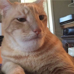 Larysab6740's Avatar'