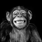 Bakhani's Avatar'