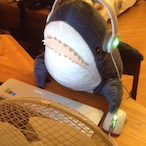FinnTheTurtle's Avatar'