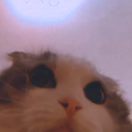 xmayhapsx's Avatar'