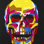 DistortedAngel's Avatar'