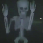 Squire.Bones's Avatar'
