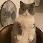 DoeIkwelDamage's Avatar'