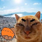 WhyMaEEE's Avatar'