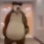 amvora's Avatar'