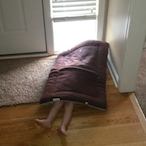 Fatpibble5867's Avatar'