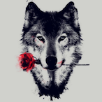 Vers.33's Avatar'