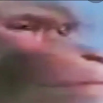 bodi.mp4's Avatar'