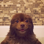 IT_is_EaSy's Avatar'