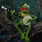 KermitOnVibe's Avatar'