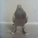 AaronStarin's Avatar'