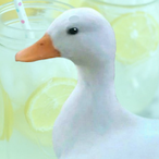 Lethilberfha's Avatar'