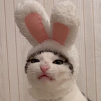 JustMikus's Avatar'