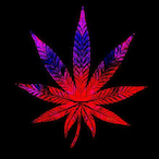 SWAT_FOR_LIFE_XX's Avatar'